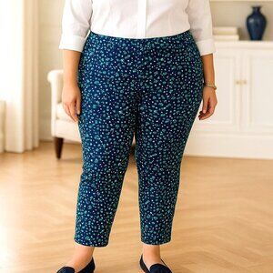 Talbots 22WP Plus Size Mid-rise Straight Leg Jeans Hampshire Ankle Crop Pants